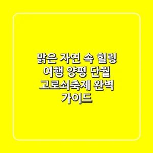 맑은 자연 속 힐링 여행, 양평 단월 고로쇠축제 완벽 가이드