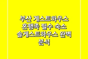 부산 게스트하우스 혼행족 필수 숙소: 솔게스트하우스 완벽 분석