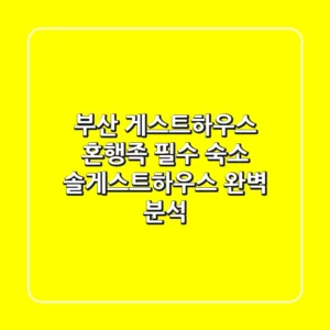 부산 게스트하우스 혼행족 필수 숙소: 솔게스트하우스 완벽 분석