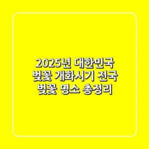 2025년 대한민국 벚꽃 개화시기 & 전국 벚꽃 명소 총정리!