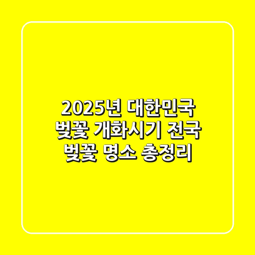 2025년 대한민국 벚꽃 개화시기 & 전국 벚꽃 명소 총정리!