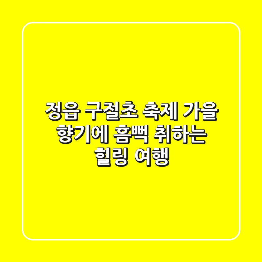 정읍 구절초 축제: 가을 향기에 흠뻑 취하는 힐링 여행