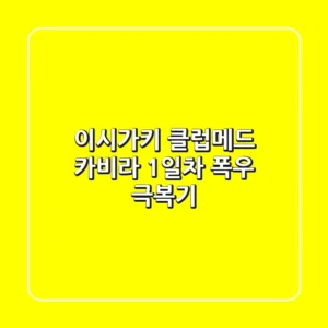 이시가키 클럽메드 카비라 1일차 폭우 극복기!🌴