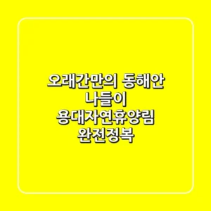 오래간만의 동해안 나들이: 용대자연휴양림 완전정복