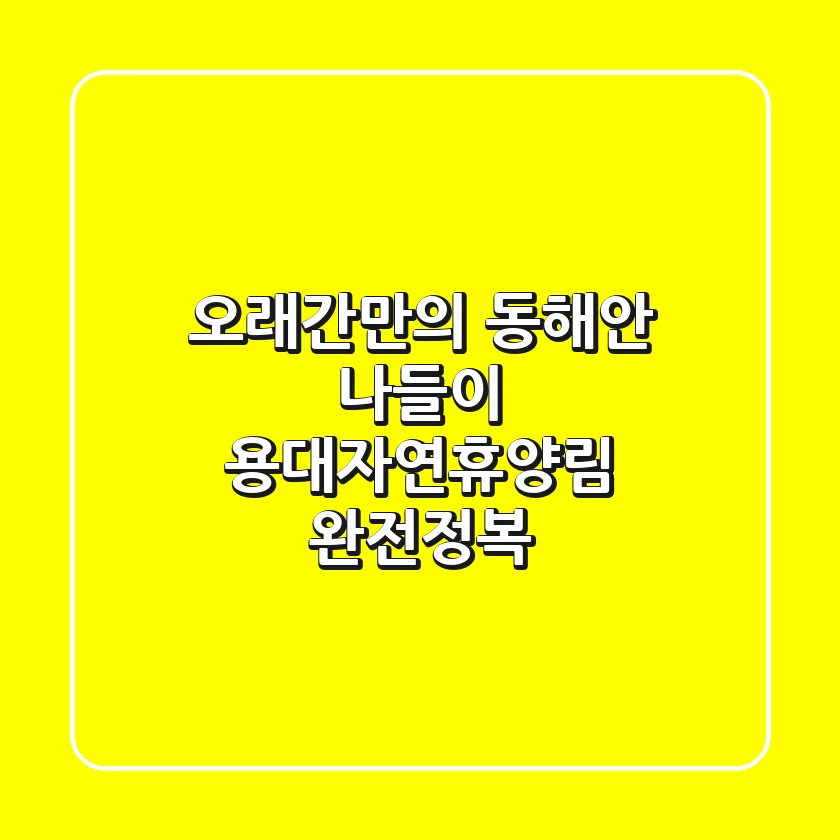 오래간만의 동해안 나들이: 용대자연휴양림 완전정복