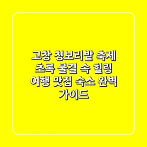 고창 청보리밭 축제: 초록 물결 속 힐링 여행 (맛집, 숙소 완벽 가이드)