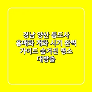 경남 양산 통도사 홍매화 개화 시기 완벽 가이드 & 숨겨진 명소 대방출!