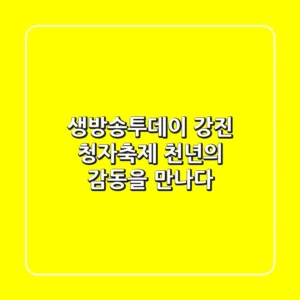 생방송투데이 강진 청자축제: 천년의 감동을 만나다!