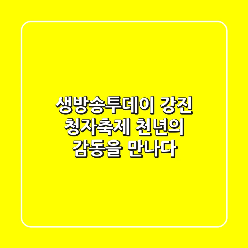 생방송투데이 강진 청자축제: 천년의 감동을 만나다!