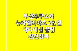 부산-후쿠오카 뉴카멜리아호: 2인실 & 다다미실 꿀팁 완전정복!