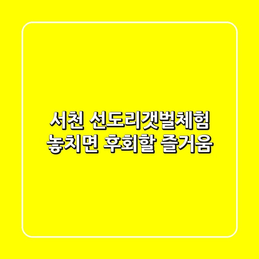 서천 선도리갯벌체험, 놓치면 후회할 즐거움!