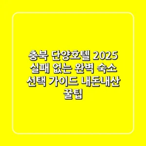 충북 단양호텔 2025, 실패 없는 완벽 숙소 선택 가이드 (내돈내산 꿀팁!)