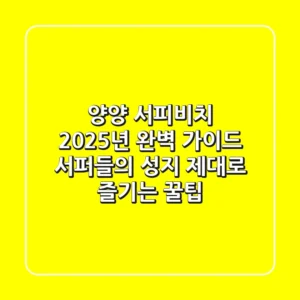양양 서피비치 2025년 완벽 가이드: 서퍼들의 성지, 제대로 즐기는 꿀팁