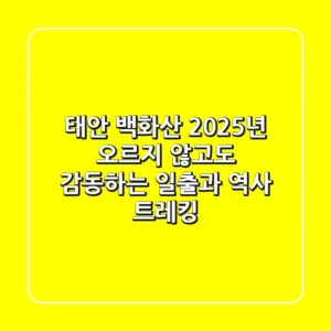 태안 백화산: 2025년, 오르지 않고도 감동하는 일출과 역사 트레킹