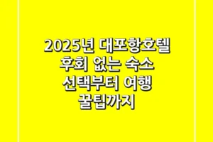 2025년 대포항호텔: 후회 없는 숙소 선택부터 여행 꿀팁까지