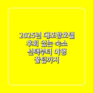 2025년 대포항호텔: 후회 없는 숙소 선택부터 여행 꿀팁까지