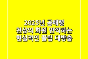 2025년 곰배령, 천상의 화원 만끽하는 현실적인 꿀팁 대방출!