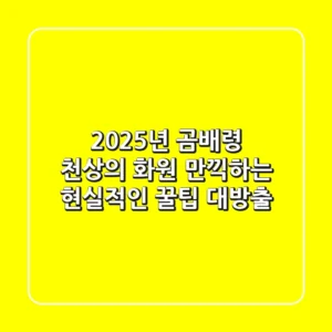 2025년 곰배령, 천상의 화원 만끽하는 현실적인 꿀팁 대방출!