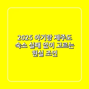2025 아기랑 제주도 숙소, 실패 없이 고르는 현실 조언