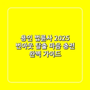 용인 법륜사 2025: 번아웃 탈출, 마음 충전 완벽 가이드