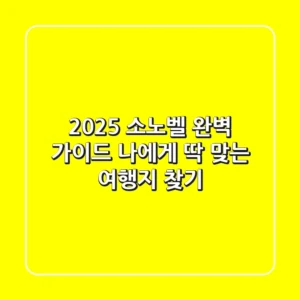 2025 소노벨 완벽 가이드: 나에게 딱 맞는 여행지 찾기