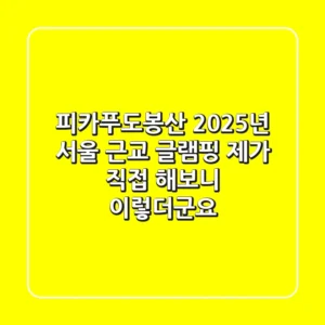 피카푸도봉산: 2025년 서울 근교 글램핑, 제가 직접 해보니 이렇더군요!