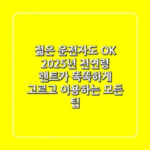 젊은 운전자도 OK! 2025년 전연령 렌트카, 똑똑하게 고르고 이용하는 모든 팁