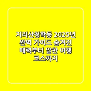 지리산청학동 2025년 완벽 가이드: 숨겨진 매력부터 알찬 여행 코스까지!