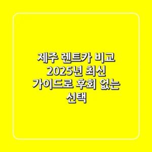 제주 렌트카 비교, 2025년 최신 가이드로 후회 없는 선택