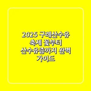 2025 구례산수유 축제: 꽃부터 산수유즙까지 완벽 가이드