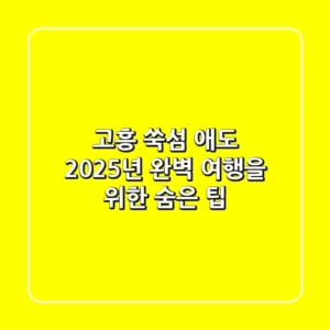 고흥 쑥섬, 애도: 2025년 완벽 여행을 위한 숨은 팁