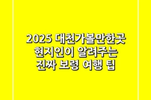 2025 대천가볼만한곳: 현지인이 알려주는 진짜 보령 여행 팁