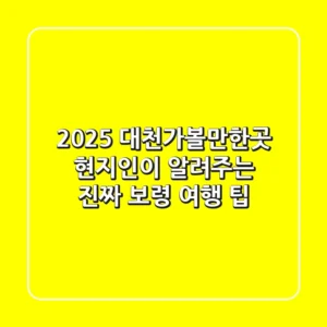 2025 대천가볼만한곳: 현지인이 알려주는 진짜 보령 여행 팁