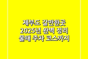 제부도 갈만한곳 2025년 완벽 정리! 물때, 주차, 코스까지