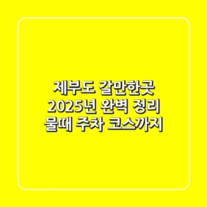 제부도 갈만한곳 2025년 완벽 정리! 물때, 주차, 코스까지