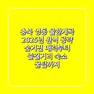 충북 영동 물한계곡: 2025년 완벽 공략! 숨겨진 매력부터 즐길거리, 숙소 꿀팁까지
