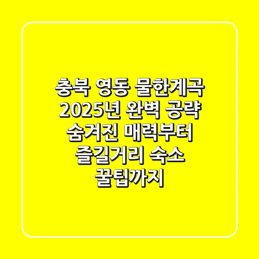 충북 영동 물한계곡: 2025년 완벽 공략! 숨겨진 매력부터 즐길거리, 숙소 꿀팁까지