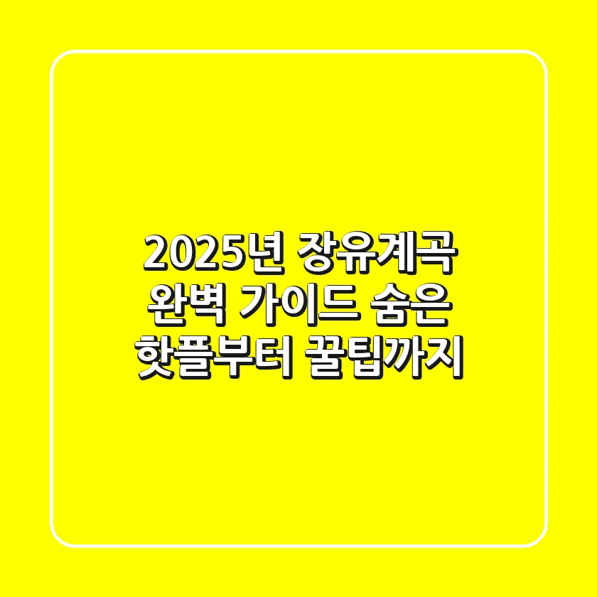 2025년 장유계곡 완벽 가이드: 숨은 핫플부터 꿀팁까지!
