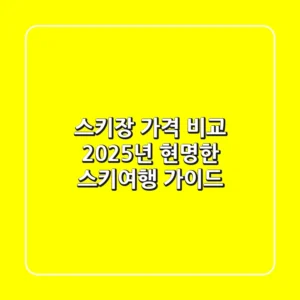스키장 가격 비교, 2025년 현명한 스키여행 가이드
