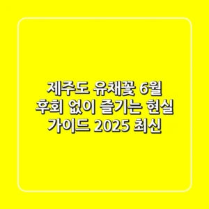 제주도 유채꽃 6월, 후회 없이 즐기는 현실 가이드 (2025 최신)
