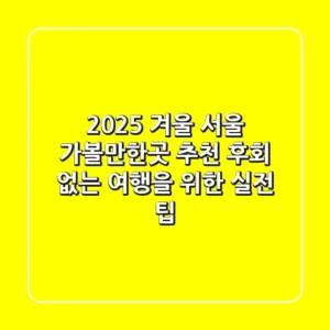 2025 겨울 서울 가볼만한곳 추천! 후회 없는 여행을 위한 실전 팁