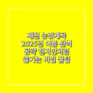 제천 능강계곡, 2025년 여름 완벽 공략! 현지인처럼 즐기는 비밀 꿀팁