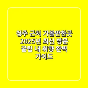 청주 근처 가볼만한곳, 2025년 최신 방문 꿀팁! 내 취향 완벽 가이드