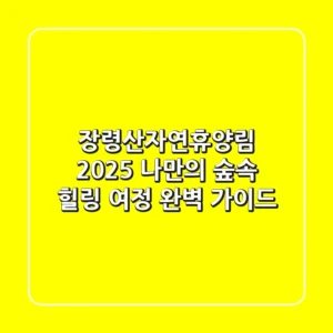 장령산자연휴양림: 2025 나만의 숲속 힐링 여정 완벽 가이드