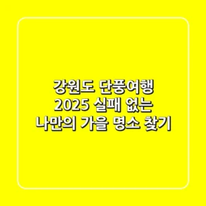 강원도 단풍여행 2025: 실패 없는 나만의 가을 명소 찾기