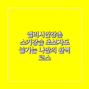 엘리시안강촌 스키강습, 초보자도 즐기는 나만의 완벽 코스