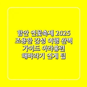 함안 연꽃축제 2025, 조용한 감성 여행 완벽 가이드! (아라홍련 & 해바라기 연계 팁)