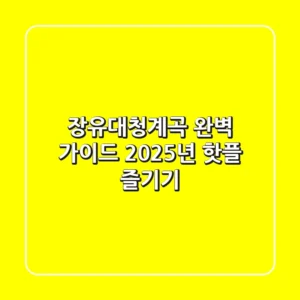 장유대청계곡 완벽 가이드: 2025년 핫플 즐기기