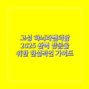 고성 하늬라벤더팜 2025: 완벽 방문을 위한 현실적인 가이드