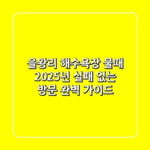 을왕리 해수욕장 물때, 2025년 실패 없는 방문 완벽 가이드